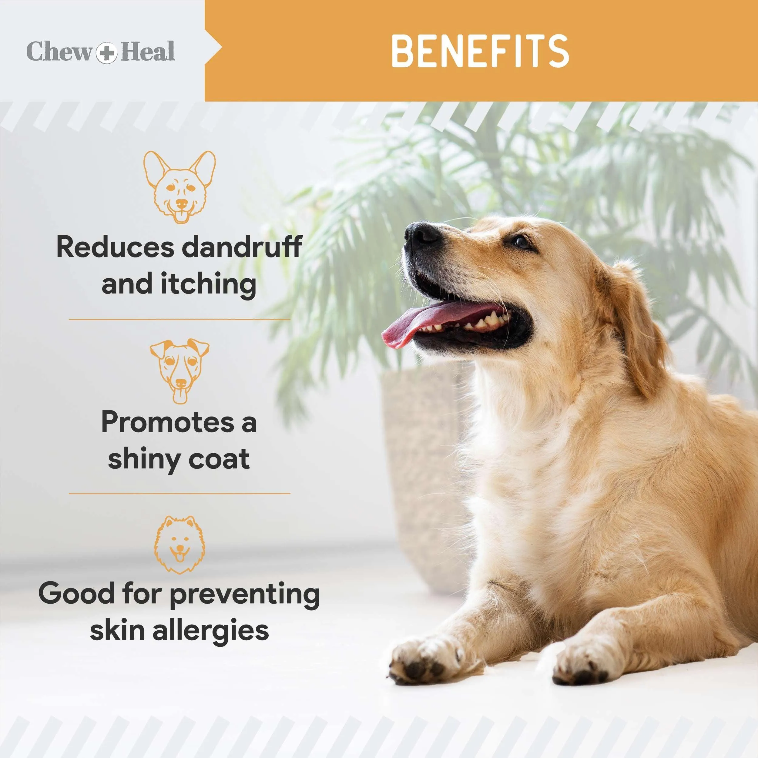 Chew   Heal Omega 3 Fish Oil for Dogs - 180 Softgel Supplements for Healthy Skin and Coat