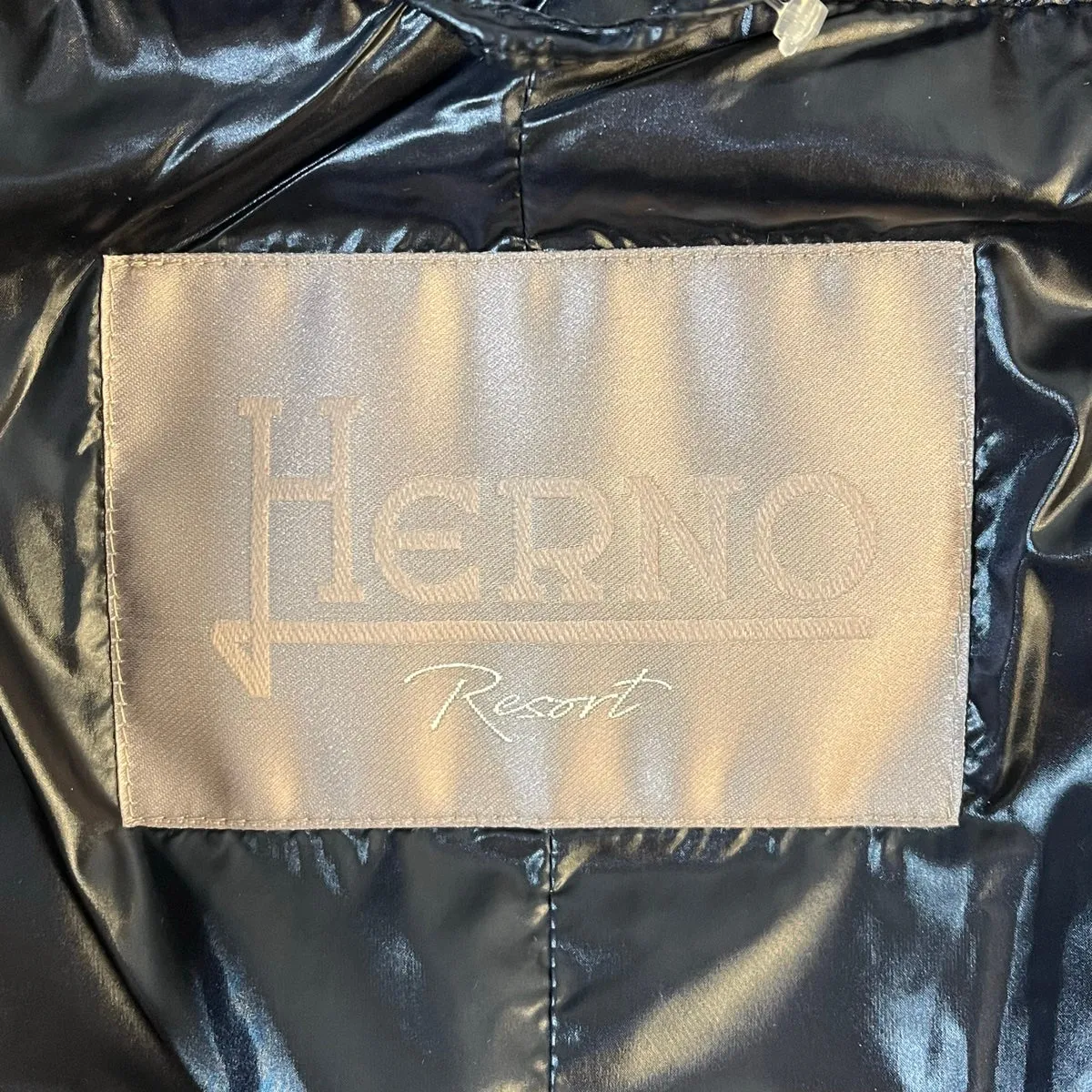 Herno Coat