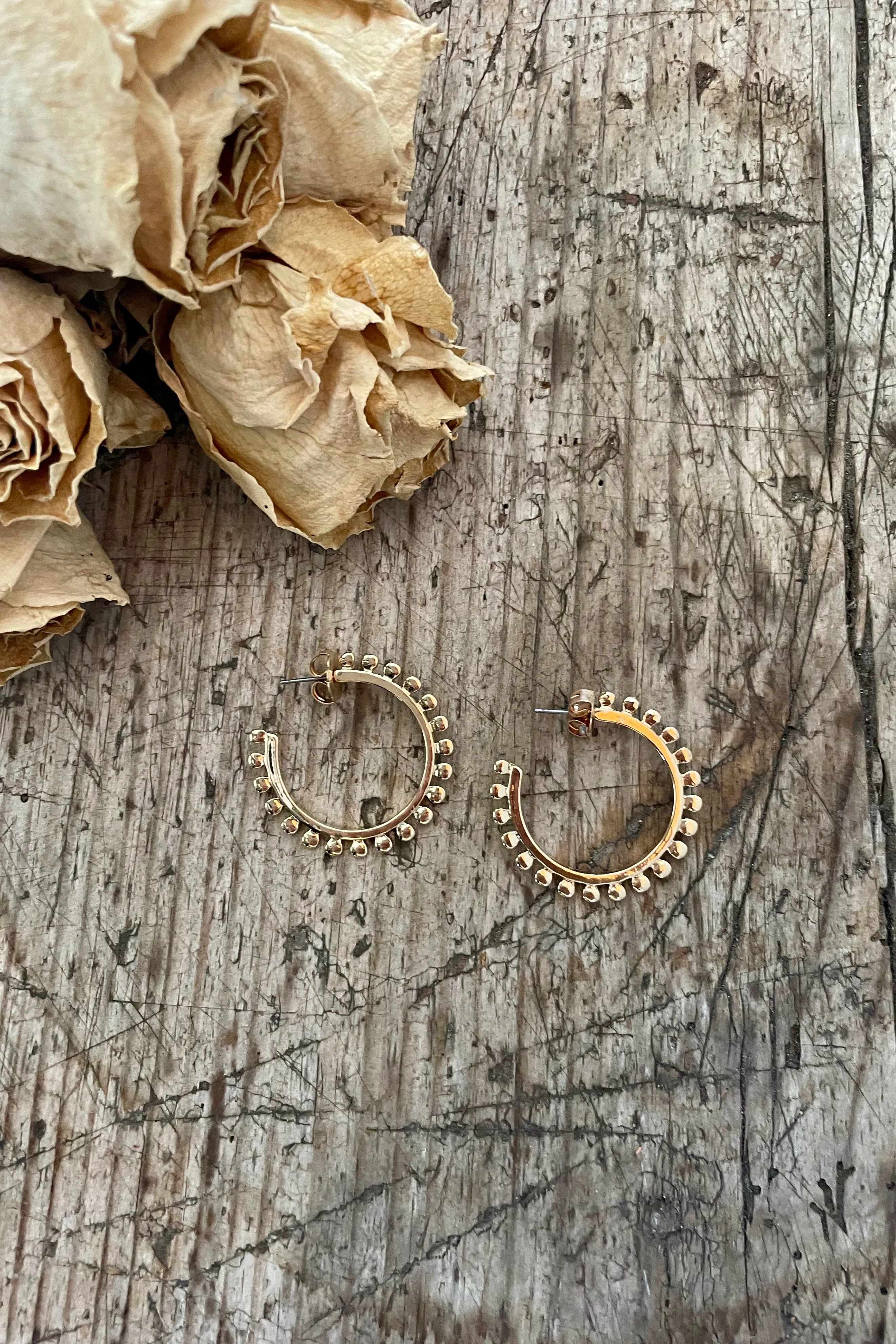 Holly Hoop earrings - Gold