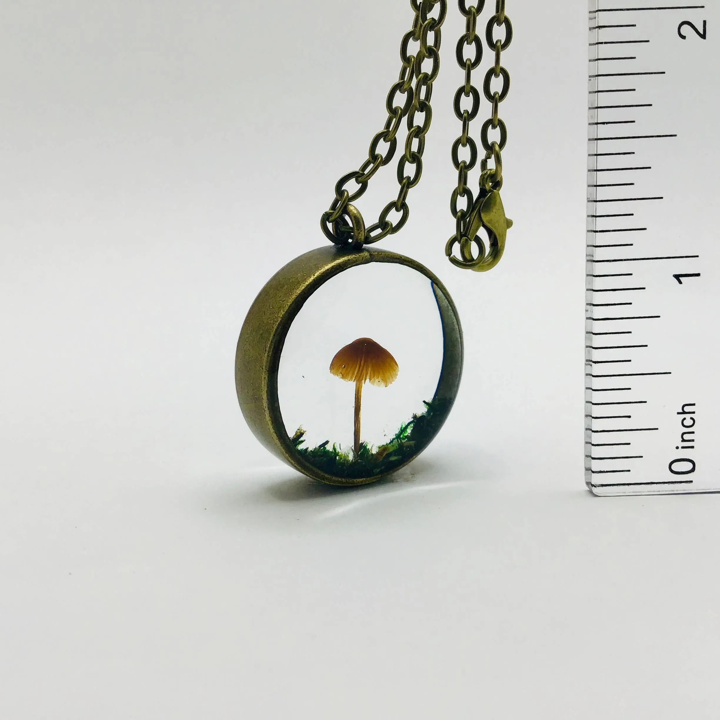 Mushroom Curiosity Charm Necklace Color: Bronze # 3411