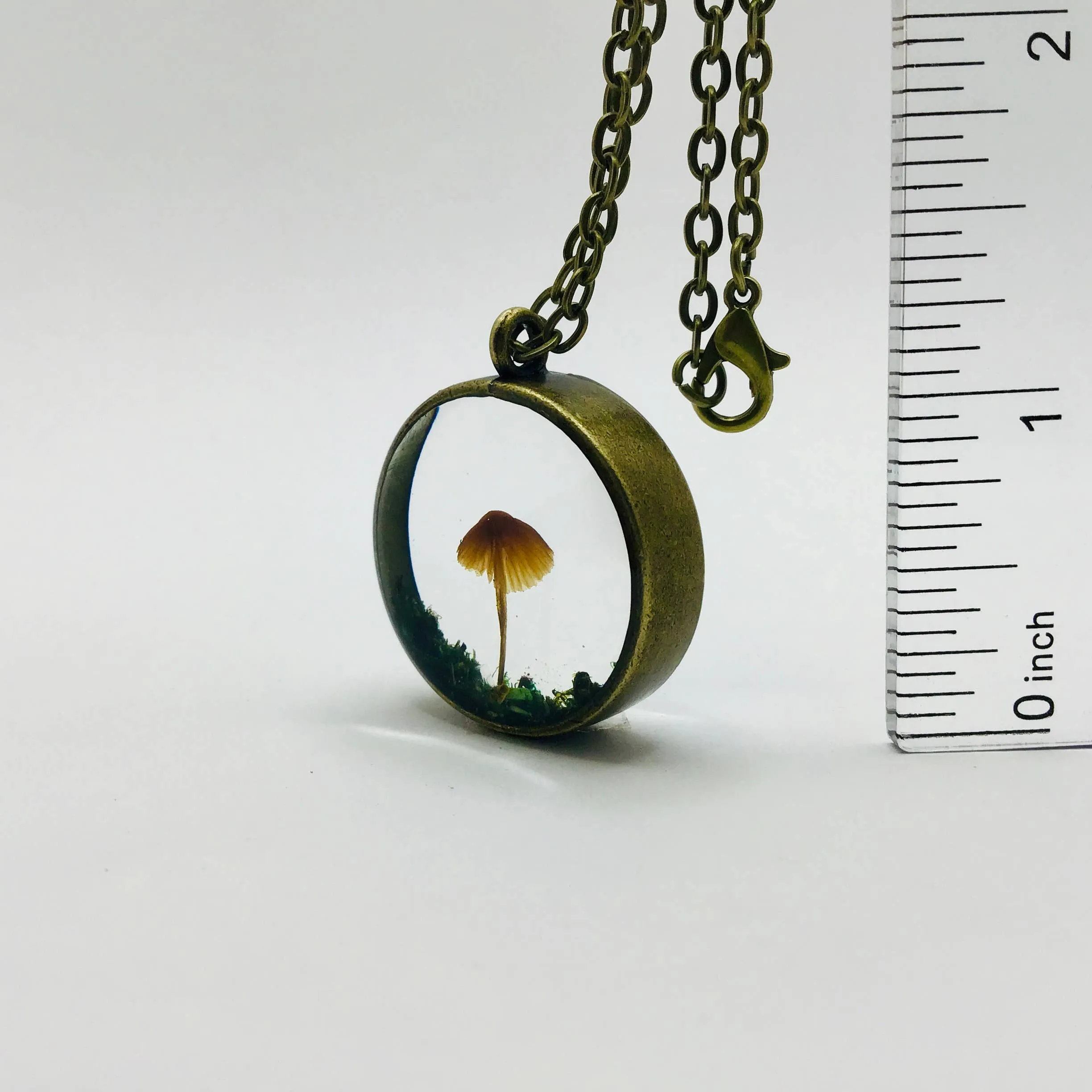 Mushroom Curiosity Charm Necklace Color: Bronze # 3411