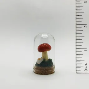 Mushroom Curiosity Jar Real Fungi Curio 1.75" # 3457